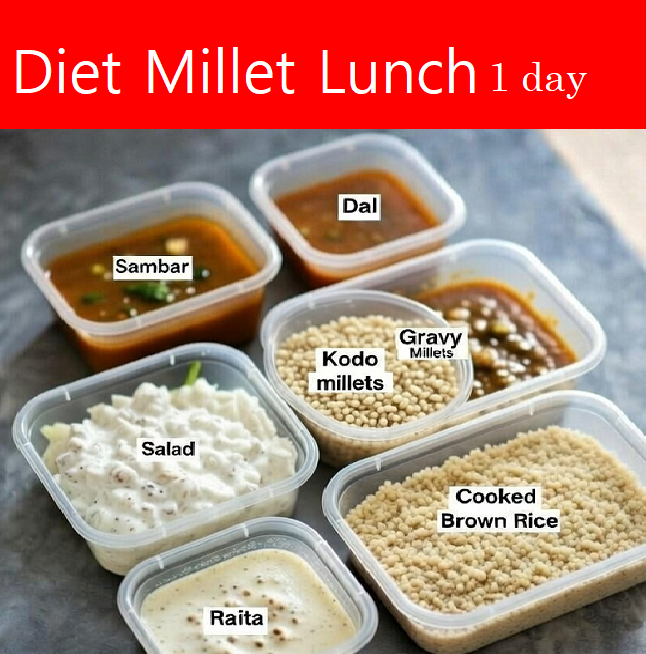 Low Carb Diet - Millet Lunch Box - 1 Day